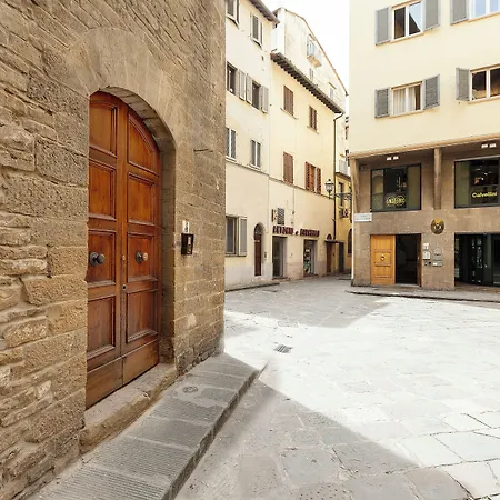 Salterelli By Mamo *